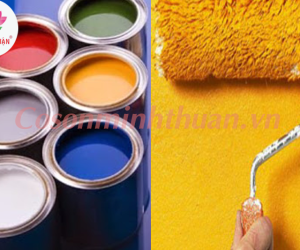 Sơn Gốc Nước Và Sơn Gốc Dầu Chọn Loại nào