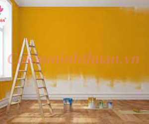 Người Mệnh Kim Và Việc Chọn Màu Sơn Nhà Tốt Nhất