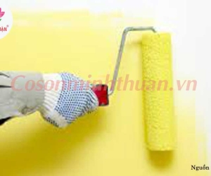 Đừng Bỏ Qua Cách Chọn Màu Sơn Cho Chủ Nhà Mệnh Mộc