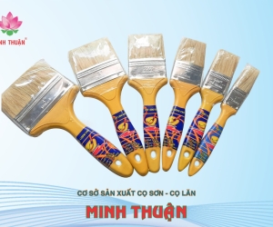 Cọ Lăn Sơn Và Những Điều Quan Trọng