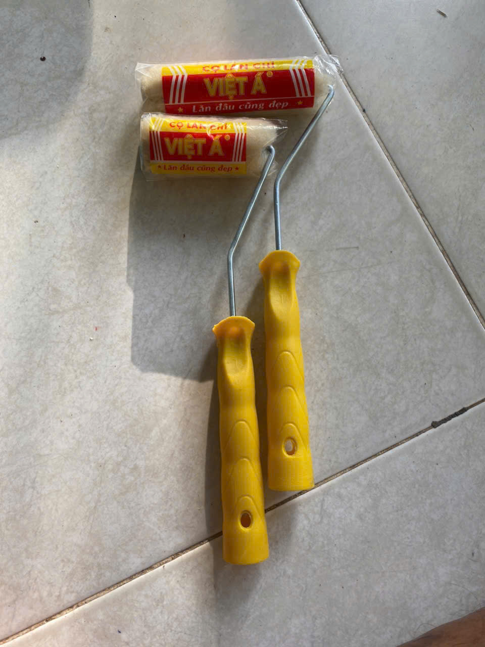 Lăn chỉ Việt Á